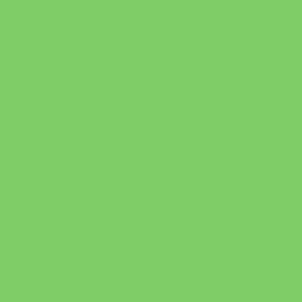 LEE Minirolle (122 x 50cm): #088 - Lime Green        [Preis inkl. MwSt 24,85€]