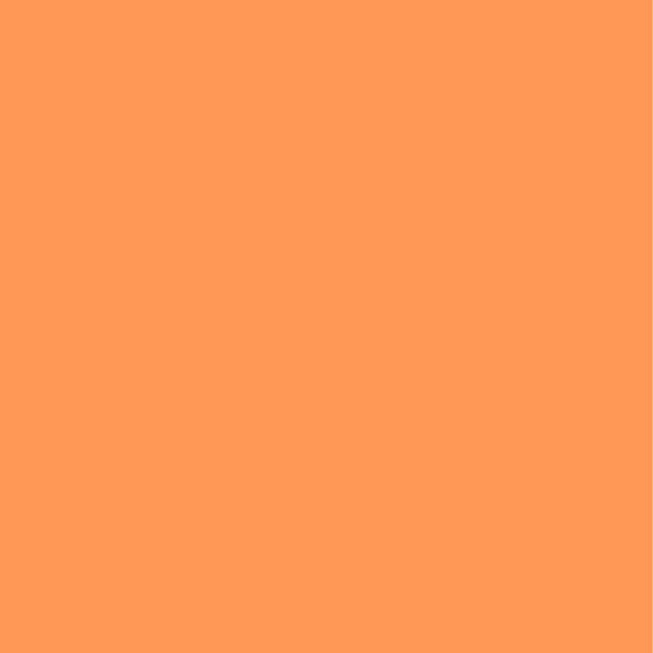 LEE #147 - Apricot (762x122cm) [Preis inkl. MwSt  110,82€]