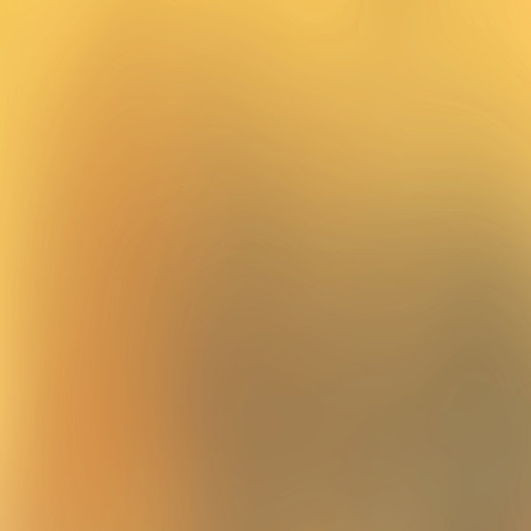 LEE #274 - Mirror-Gold Reflektor (610x137cm) [Preis inkl. MwSt  132,99€]